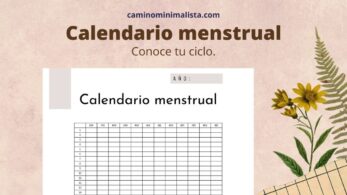 Ciclo menstrual calendario