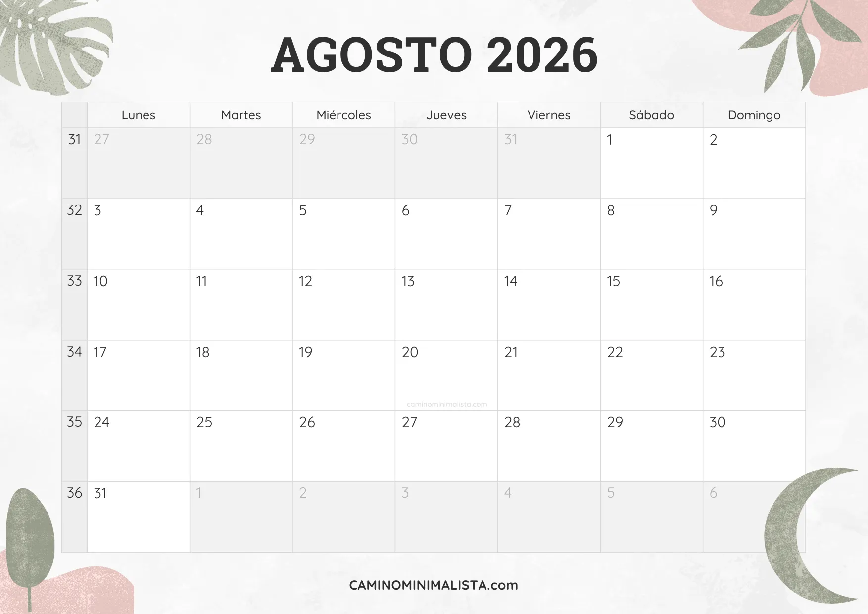 calendario agosto 2026 diseño acuarela bonito